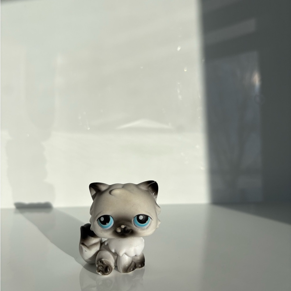 RARE Littlest Pet Shop Persian Cat 1st Generation #60